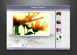 Flash AS 3.0 + XML Image Gallery 1.0